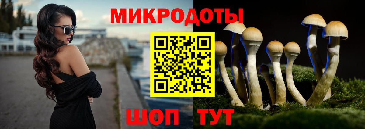 Псилоцибиновые грибы мухоморы Узловая